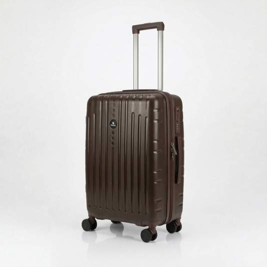 Large Expandable Checked